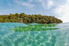 sebastian-mittermeier-tP9ttqy6eH0-unsplash